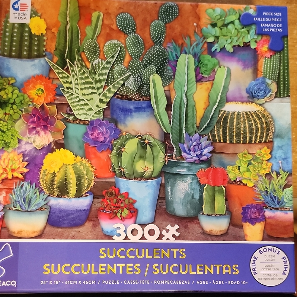Succulent Puzzle with Vibrant Colors